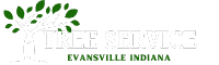 tree service evansville indiana